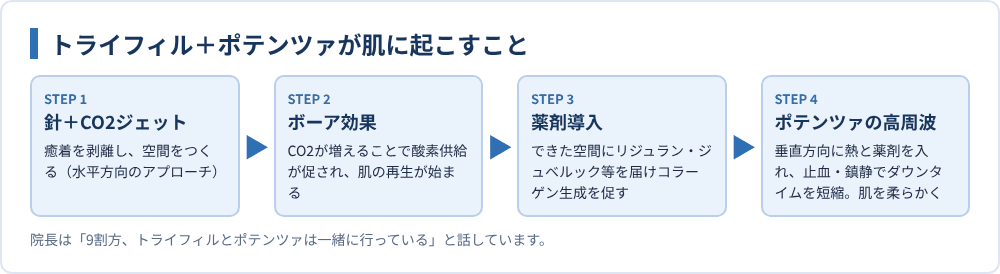 トライフィル+ポテンツァが肌に起こすこと