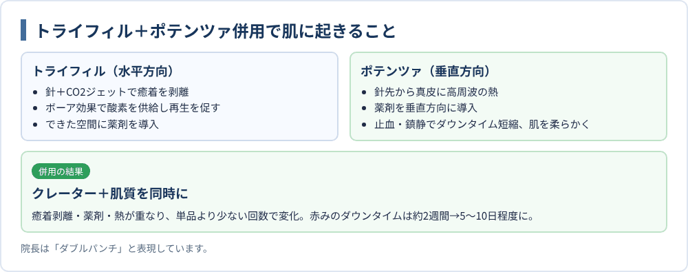 トライフィル＋ポテンツァ併用で肌に起きること